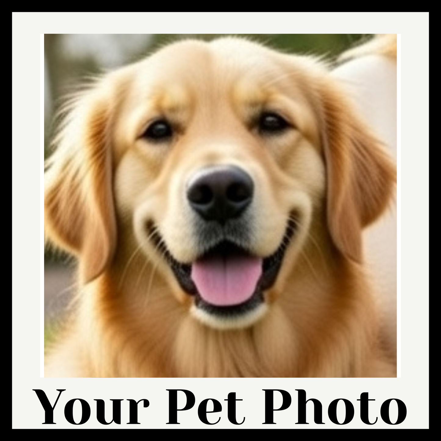 🐾 Custom Pet Embroidered Sweatshirt