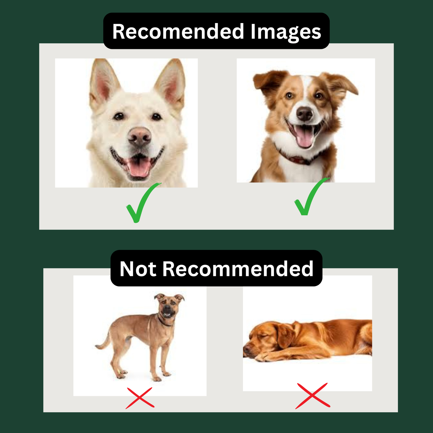 🐾 Custom Pet Embroidered Sweatshirt